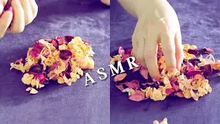 ASMR for Ear to Ear Tingles 🍂 | No Talking | Tapping, Rustling Sounds