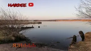 Рыбалка в Подборке, Язь и сорога. Весна 2023. Май