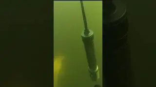 ПОДВОДНАЯ ОХОТА НА ПРОСВЕТ!!! ТОЛСТОЛОБИК!!! #spearfishing #подводнаяохота #рыбалкасподвохом
