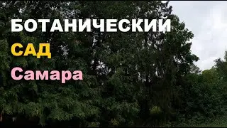Прогулка по Самарскому ботаническому саду