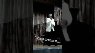 В краю магнолий.
