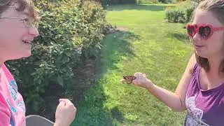 Educating a Neighbor's Family how to tell a male monarch.