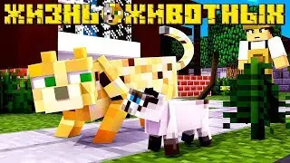 ЖИЗНЬ ЖИВОТНЫХ В МАЙНКРАФТЕ [Серия 2]