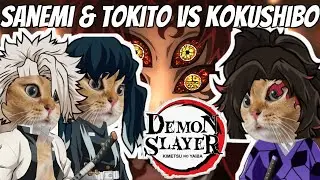Demon Slayer Movie : Kokushibo VS Pillars / CAT MEMES