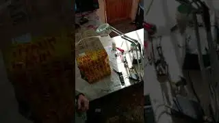 пульти  на продажу и на заказ 89679390666 Дом быта Леваши