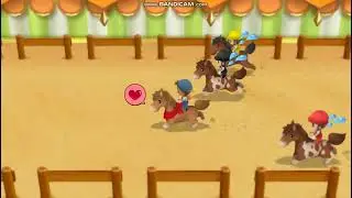 HORSE'S RACE STORY OF SEASONS