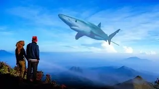 Cara Menambah Background IKAN PAUS Di Piscart