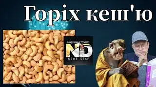 Горіх кеш'ю