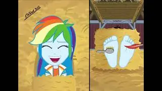 Rainbow's Hay Trap