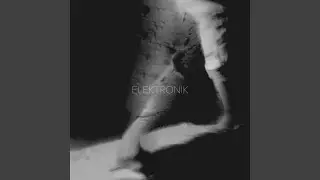 Elektronik