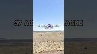 37 acres in Arizona for $17950 #foryou #realestate #land #property #shorts #shortvideo #fyp