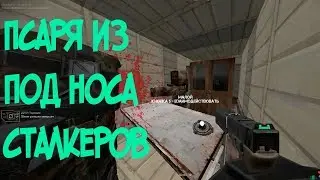 STALCRAFT  /Квест-псарь для бандитов????