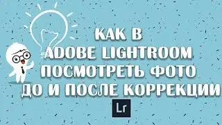 Как в adobe lightroom посмотреть фото до и после коррекции