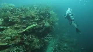 I found a Moray Eel on the bottom of the ocean