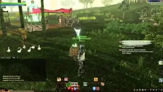 Trade Packs and your First Trade Run! - ArcheAge English Alpha