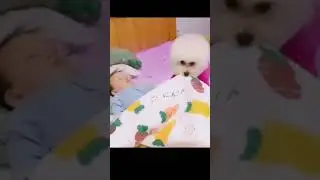 смотри какая красота