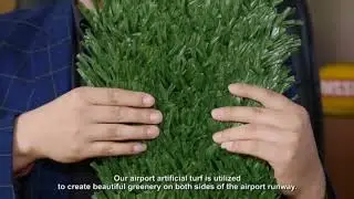 TaiShan Airport Grass