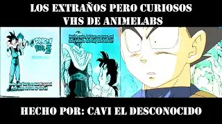 Los extraños pero curiosos VHS de AnimeLabs