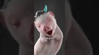 😂Try Not To Laugh 🐷 Funny Pigs Video # 104