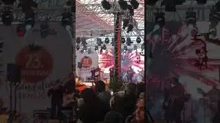 Seferihisar mandalina festivali