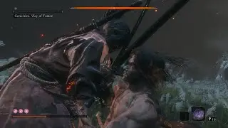 Genichiro, Way of Tomoe clean fight (no specials tricks or glitches)