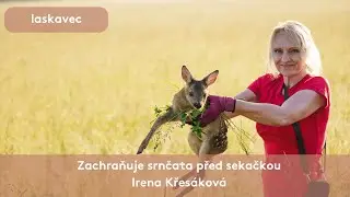 Zachraňuje srnčata před sekačkou 💙 Irena Křesáková Laskavec 2024