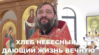 Хлеб Небесный, дающий вечную жизнь. Проповедь по Евангелию от Иоанна. Священник Валерий Сосковец