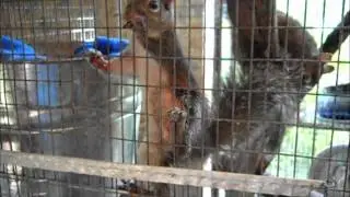 15 April Update on paralyzed 16 March 2012 boy.wmv