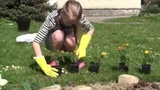 Толока в інтернаті 