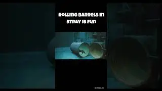 Things u didn't know in stray 