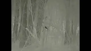 Termowizor INFIRAY E3 MAX V2   ircsklep pl