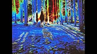 ACIDIZER69 - ACID DREAM
