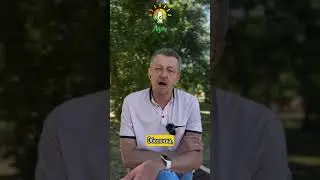 Женский и мужской алкоголизм, в чем разница? Ответ эксперта