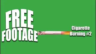 Free Stock footage of a cigarette burning on green screen #2