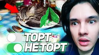 🎂Торт или Не Торт! Угадай вместе с WOOODYYYY😃