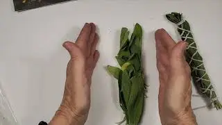sage bundles for smoke cleanse