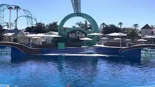 Dolphin Adventures | Happy Veterans Day and Happy Deepavali from San Diego sea world. 🙏