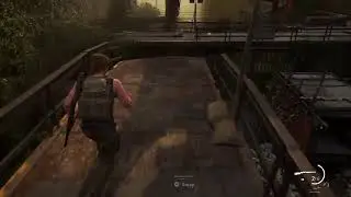 The last of us 2 - pt7
