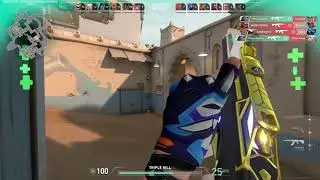 Old is Gold, bought the prime vandal and aced with it | Valorant Clips #18
