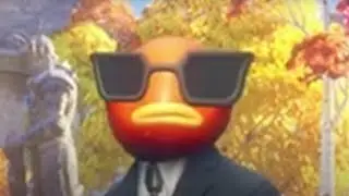 I played fortnite...