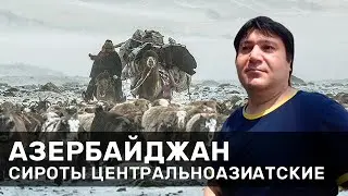 Азербайджан. Сироты центральноазиатские