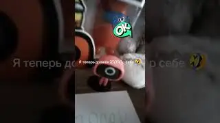 музей фанка