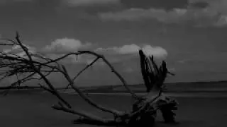 Chris Fesker - Deadwood Beach