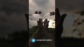 ЗАПРЕТНЫЕ ОТНОШЕНИЯ