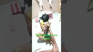 Ang anak Kong maalaga at malambing sa aso,nagalagay ng busal Kay Digong para di makangatngat