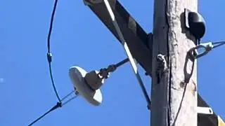 The Sound of Pecking