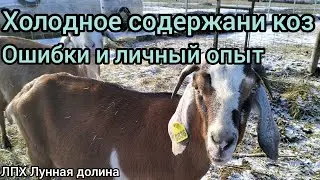 Холодное содержание коз. Ошибки и личный опыт.