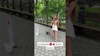 Revealing My Latest Violin Showcase!