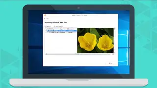 How to Repair Corrupted or Damaged JPEG File with Stellar Photo Repair Software