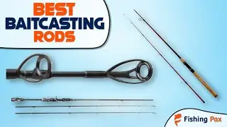 Best Baitcasting Rods (Try These Rods For Bass!)